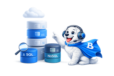 Servidor de banco de dados gerenciado BorkCloud